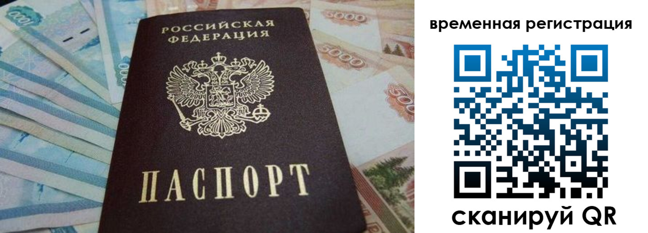 временная регистрация гарантия в Липецкая области